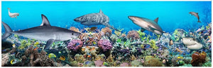 CA-Custom photo 3d wallpaper Underwater world shark theme space full house background wall living room 3d wall mural wallpaper Starting at $31.99