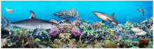 Load image into Gallery viewer, CA-Custom photo 3d wallpaper Underwater world shark theme space full house background wall living room 3d wall mural wallpaper Starting at $31.99
