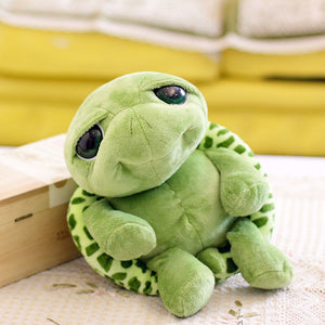 Tabasco Tortoise 20cm (7.87 inches) Extraordinarily Cute Turtle with Big Green Eyes Full of Love.
