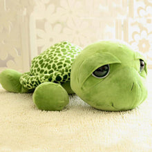 Load image into Gallery viewer, Tabasco Tortoise 20cm (7.87 inches) Extraordinarily Cute Turtle with Big Green Eyes Full of Love.